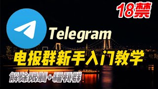2024年最新Telegram TG 电报入门教学 电报的注册/汉化安装包如何使用电报加群telegram怎么用教你找到telegram宅男福利|老司机群Lazy阿洋