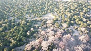 100 Acres in Mills County, Texas