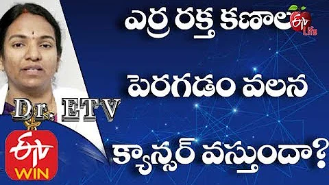 What Increases Red Blood Cells? | Increase RBC count | RBC Increase in Blood | High RBC Count Causes
