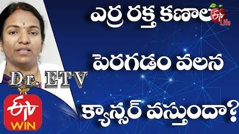 What Increases Red Blood Cells? | Increase RBC count | RBC Increase in Blood | High RBC Count Causes