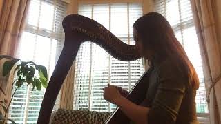 Susan Lambert Performing Ed Sheeran, Perfect