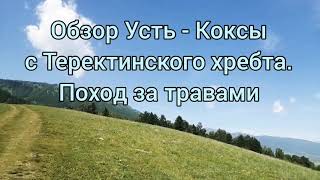 Обзор Усть - Коксы, с Теректинского хребта. г. Белуха. Поход за травами