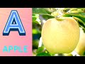 ABC Phonics Song | Alphabet letter sounds | ABC learning for toddlers | Education ABC Nursery Rhymes