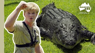 Robert Irwin's Croc Profiles - Acco | Australia Zoo Life
