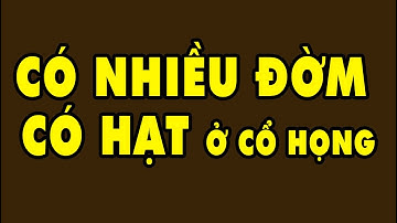 Cổ Họng Có NHIỀU ĐỜM - Ngứa Họng Ho Lâu Ngày | HYT3