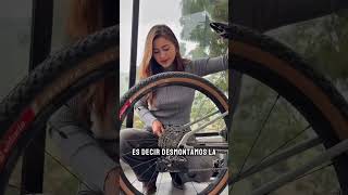 Simulador Elite Rivo