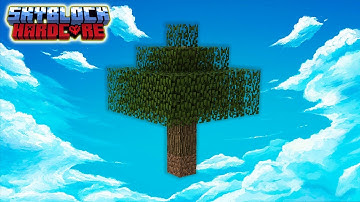 Everything Goes Wrong In Minecraft Hardcore Skyblock