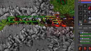 Danoria.Net Kill Noobs