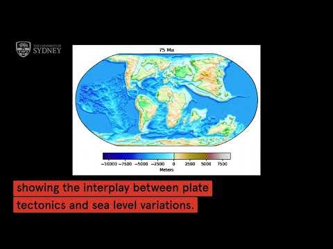 250 million years of tectonic and sea level variations