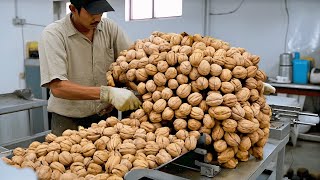 फैक्ट्री मैं खाने को तैयार करती ऐसी मशीनें आपको भी हैरान कर देंगी || Amazing Food Processing Machine