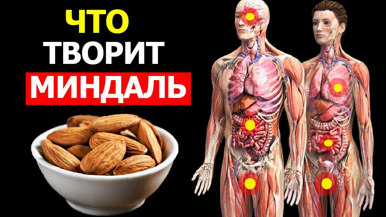 На что способен Миндаль - Вот что с вами произойдет, съедая по несколько штук в день