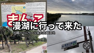 【Vlog】沖縄の漫湖（まんこ）に行って来た/ラムサール条約登録湿地