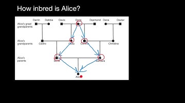 Express method how to find inbreeding coefficient