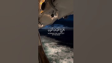 فسبحان الله حين تمسون وحين تصبحون ||عبدالرحمن الزواوي سورة الروم