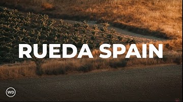 Ancient Vines: The Hunt for Pre-Phylloxera Wine