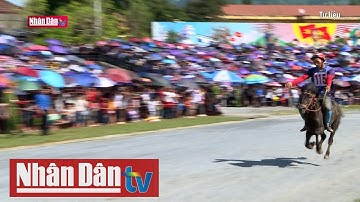 Lễ hội Đua ngựa Bắc Hà trở thành di sản phi vật thể quốc gia