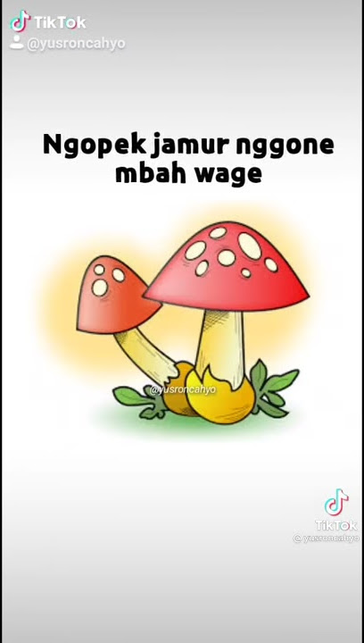 Story WA 30 detik lucu. Mumet