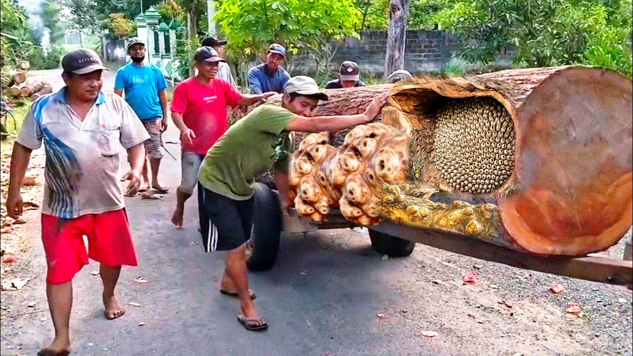 Tragis! satu hal yang di alami pekerja kayu di pabrik penggergajian kayu ini sangat menyentuh hati