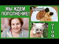 💥ЖДЕМ ПОПОЛНЕНИЕ!🔥АРОМАТНО-витаминный ВЗРЫВ 🤭 РЕЦЕПТ: быстро\вкусно [JANNA FET