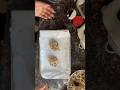 Cookies 🍪 #food #cookie #bakeing #cakebaking #cocochip #first #trending #shorts