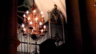 Ralf Novak-Rosengren trio @ Oscar Fredriks kyrka