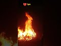 Picnic time #song viral short videos