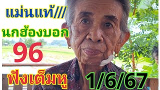 31 พฤษภาคม ค.ศ. 2024