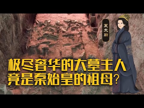 历史上籍籍无名的夏太后为何能享受帝王墓葬待遇？神禾塬大墓毁墓真凶竟与项羽有关？《疑云重重的“天子”大墓》（下）| 中华国宝