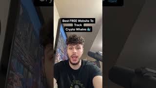 HOW TO FIND & TRACK CRYPTO WHALES YOURSELF! 🐳 screenshot 5