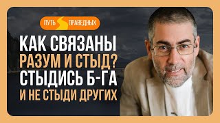 ✡️Ицхак Пинтосевич: Путь праведных. Как связаны разум и стыд? Стыдись Б-га и не стыди других. Урок 6