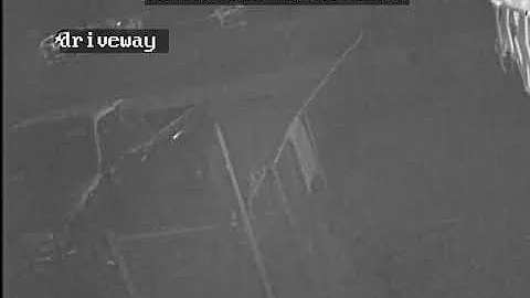 visitor in driveway