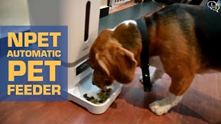 NPet Automatic Pet Feeder | Best Automatic Pet Feeder