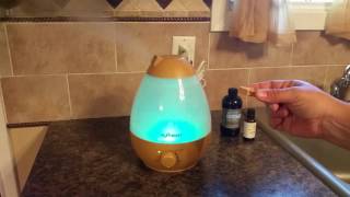 NEXGADGET Cool Mist Humidifier (can use with essential oil)