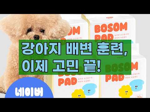 강아지 배변 훈련 끝판왕! 보솜 배변패드로 깔끔하고 안전하게!