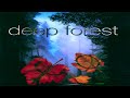 The best of deep forest   deep forestthe best collection of deep forest