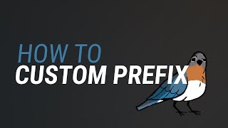 Birb Tutorial -- How to setup Custom Prefixes.
