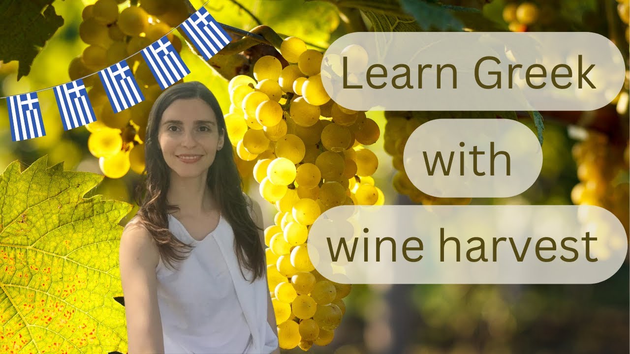 Learn Greek with wine harvest and its culture - life in Greece