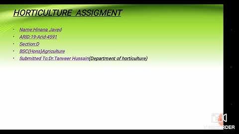 System of layout of fruit orchard