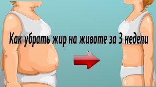 Как убрать жир на животе за 3 недели. Микстура для сжигания жира на животе Как убрать жир на животе за 3 недели. Микстура для сжигания жира на животе