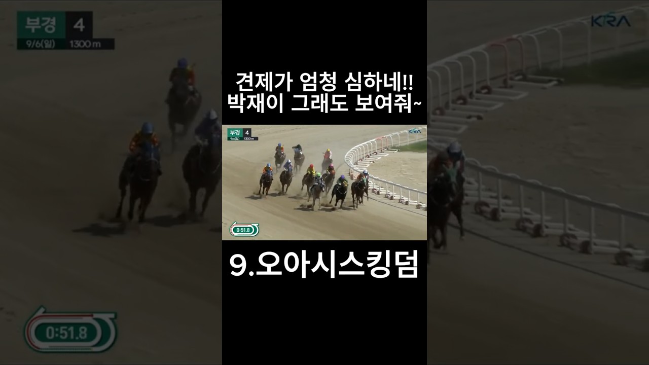견제가 엄청 심하네!!  #경마  #경마예상  #경마방송  #경마예상방송  #서울경마  #금요경마  #토요경마  #일요경마 #경마장