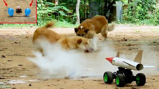 Fake Missile vs Balloon Prank Dog New Prank in 2021