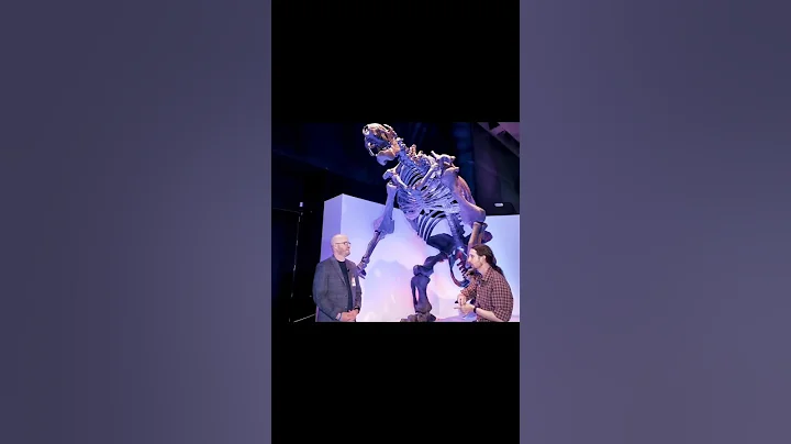 Why did Giant Sloths go extinct while smaller Tree Sloths survived? #science #paleontology #animal