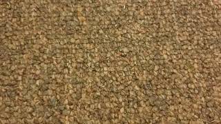 Chicken Little 2006 Vhs Showcase