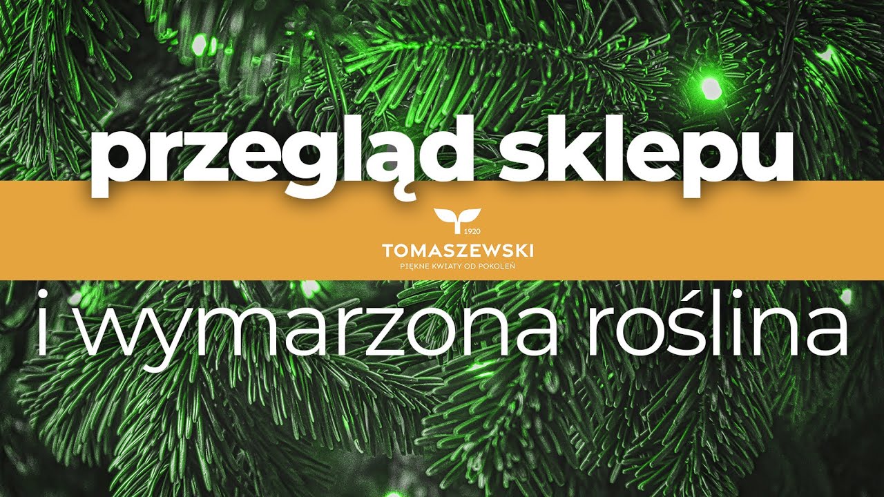 🛍 Przegląd - sklep Tomaszewski i - W KOŃCU JĄ KUPIŁAM!