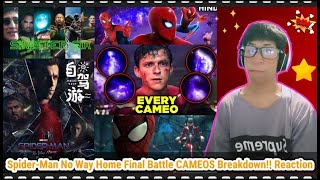 Spider-Man No Way Home Final Battle CAMEOS Breakdown! Reactions