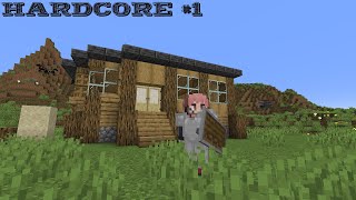 Minecraft: The Hardcore Series Ep 1 | Basic Resources Acquired!