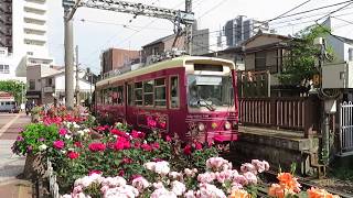都電荒川線7700形 三ノ輪橋電停発車 Toden Arakawa Line 7700 series Tramcar