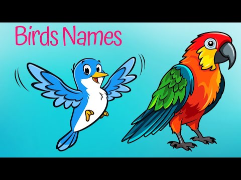 Birds names and sounds in alphabetical order , for kids pre school ...