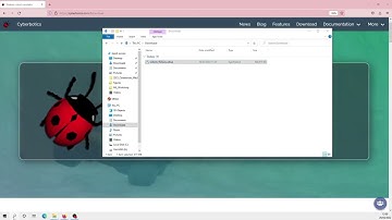 Installing Webots and Python