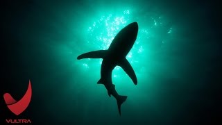 Depth 'Blood and Gold' Trailer